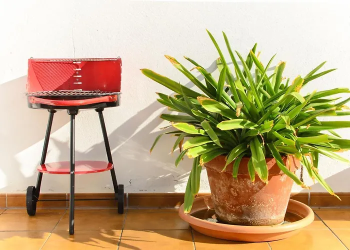 Luis Ii * プエルト・デル・カルメン