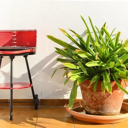 Luis Ii * 푸에르토 델 카르멘